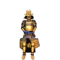 Tokugawa Ieyasu samurai armor, white background, view 1